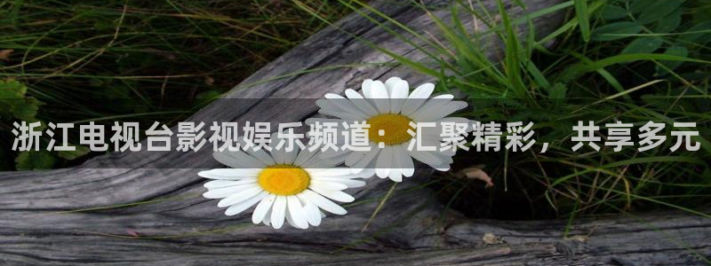 焦点娱乐平台主管：浙江电视台影视娱乐频道：汇聚精彩，共享多元