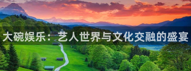 焦点娱乐平台官网版最新：大碗娱乐：艺人世界与文化交融的盛宴