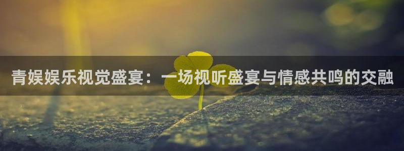 焦点娱乐平台：青娱娱乐视觉盛宴：一场视听盛宴与情感共鸣的交融