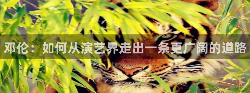 焦点娱乐.ccm官网版：邓伦：如何从演艺界走出一条更广阔的道路