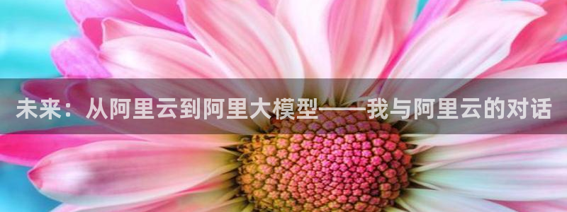 焦点娱乐平台下载入口：未来：从阿里云到阿里大模型——我与阿里云的对话