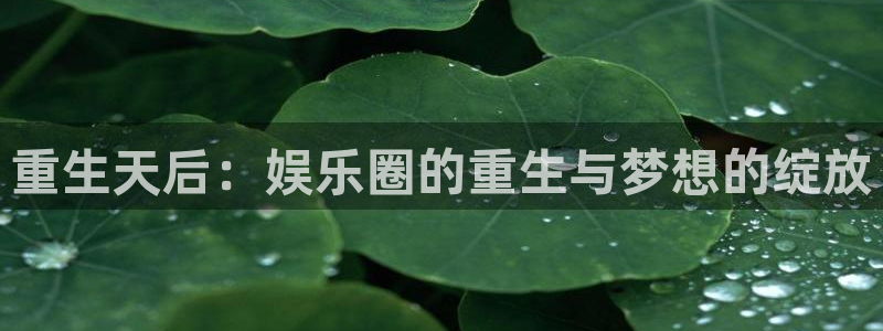焦点娱乐体育代理申请流程：重生天后：娱乐圈的重生与梦想的绽放