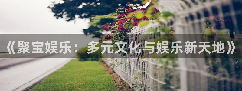焦点娱乐注册：《聚宝娱乐：多元文化与娱乐新天地》