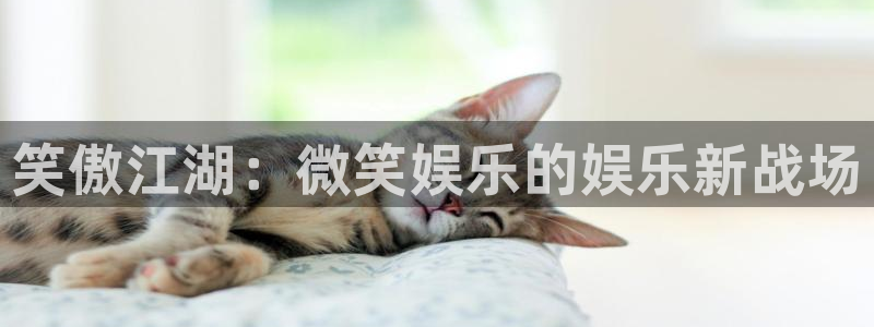 焦点娱乐下载并安装：笑傲江湖：微笑娱乐的娱乐新战场