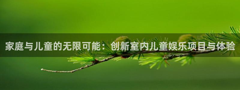 焦点娱乐平台总代理：家庭与儿童的无限可能：创新室内儿童娱乐项目与体验
