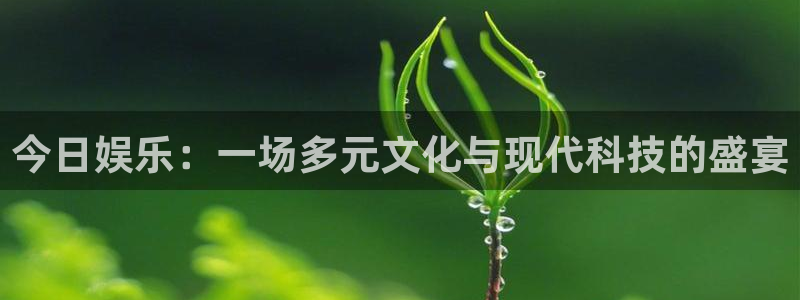 焦点娱乐注册链接：今日娱乐：一场多元文化与现代科技的盛宴