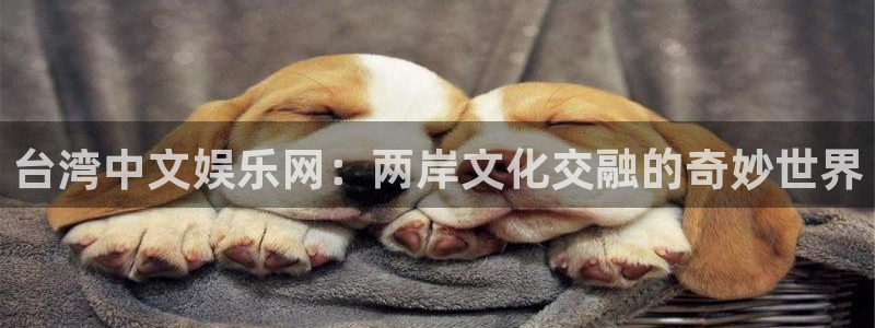 焦点娱乐.ccm：台湾中文娱乐网：两岸文化交融的奇妙世界