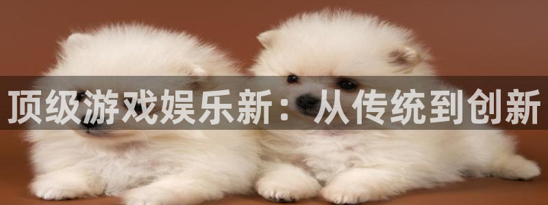 焦点娱乐游戏官网平台入口：顶级游戏娱乐新：从传统到创新
