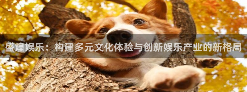 焦点娱乐登录：盛煌娱乐：构建多元文化体验与创新娱乐产业的新格局