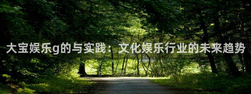 焦点娱乐vip麻将胡了：大宝娱乐g的与实践：文化娱乐行业的未来趋势