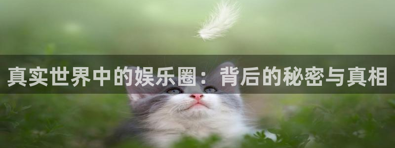 焦点娱乐是正规平台吗：真实世界中的娱乐圈：背后的秘密与真相