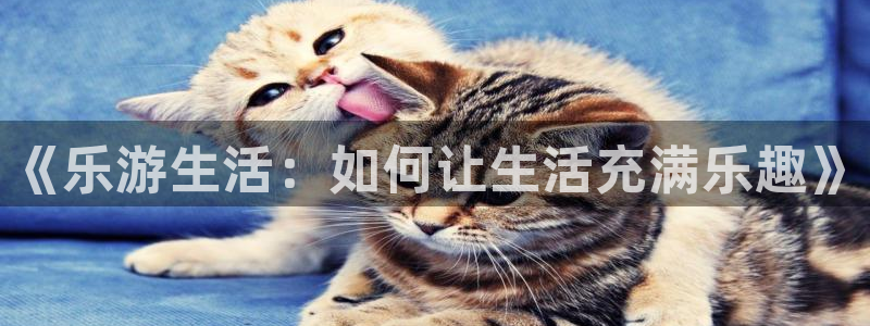 焦点娱乐体育凯捷平台注册：《乐游生活：如何让生活充满乐趣》