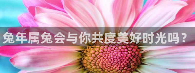 焦点娱乐下载官网入口在哪：兔年属兔会与你共度美好时光吗？