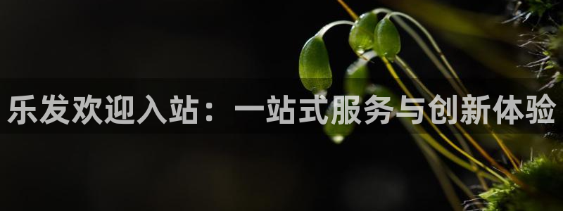 成都焦点娱乐电子有限公司：乐发欢迎入站：一站式服务与创新体验