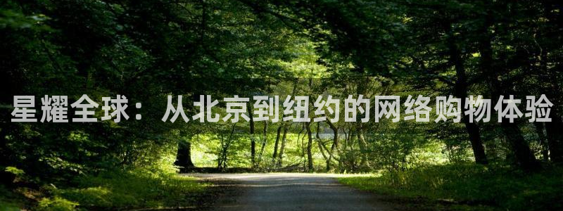 焦点娱乐招商：星耀全球：从北京到纽约的网络购物体验