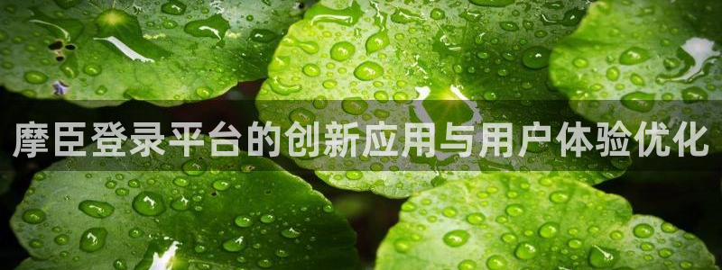 焦点娱乐招商：摩臣登录平台的创新应用与用户体验优化