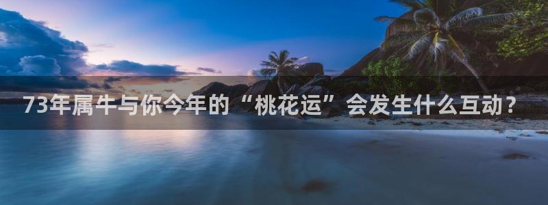 焦点娱乐哪个游戏好爆：73年属牛与你今年的“桃花运”会发生什么互动？