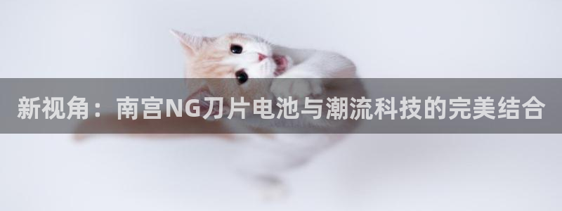 焦点娱乐平台招商：新视角：南宫NG刀片电池与潮流科技的完美结合