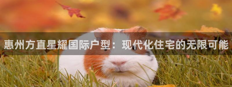 焦点娱乐平台开户链接：惠州方直星耀国际户型：现代化住宅的无限可能