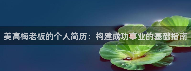 焦点娱乐登录注册：美高梅老板的个人简历：构建成功事业的基础指南