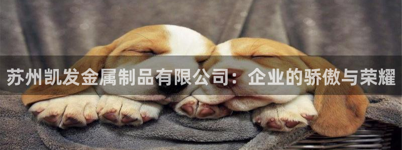 焦点娱乐下载地址：苏州凯发金属制品有限公司：企业的骄傲与荣耀
