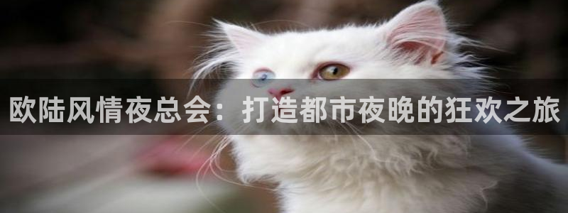 焦点娱乐主管：欧陆风情夜总会：打造都市夜晚的狂欢之旅