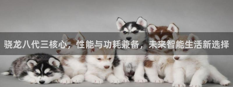 焦点娱乐放水时间：骁龙八代三核心，性能与功耗兼备，未来智能生活新选择
