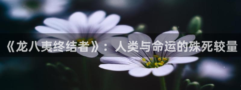 焦点娱乐2体育：《龙八夷终结者》：人类与命运的殊死较量