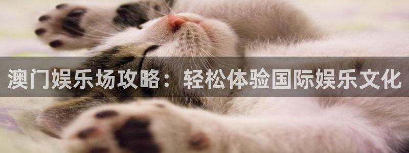 焦点娱乐注册链接：澳门娱乐场攻略：轻松体验国际娱乐文化