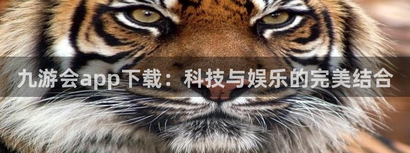 焦点娱乐招商：九游会app下载：科技与娱乐的完美结合
