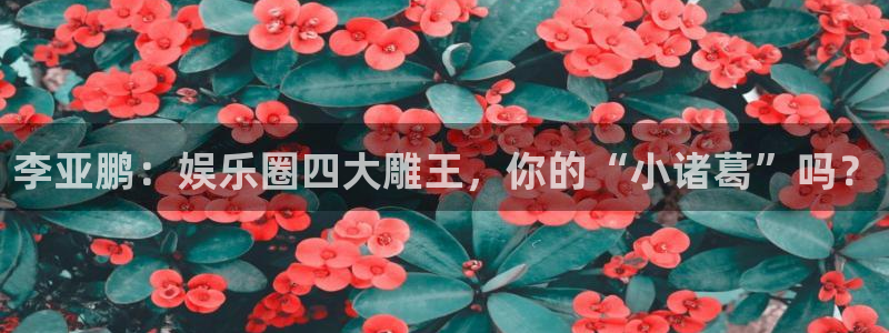 焦点娱乐：李亚鹏：娱乐圈四大雕王，你的“小诸葛”吗？
